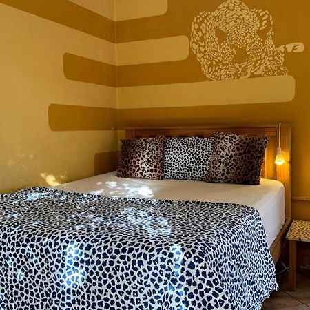 Paradisegarden Backpackers Windhoek Buitenkant foto