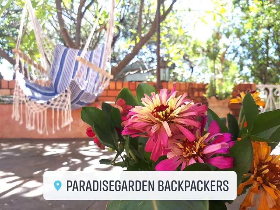 Paradisegarden Backpackers Windhoek Buitenkant foto