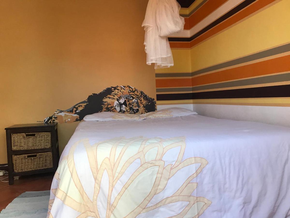 Paradisegarden Backpackers Windhoek Buitenkant foto