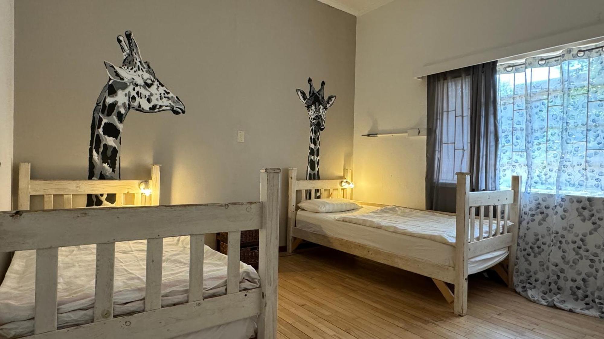 Paradisegarden Backpackers Windhoek Buitenkant foto